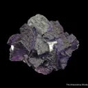 Fluorite and Galena - image 4