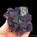 Fluorite and Galena - image 1