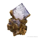 Fluorite and Muscovite and Quartz - image 6