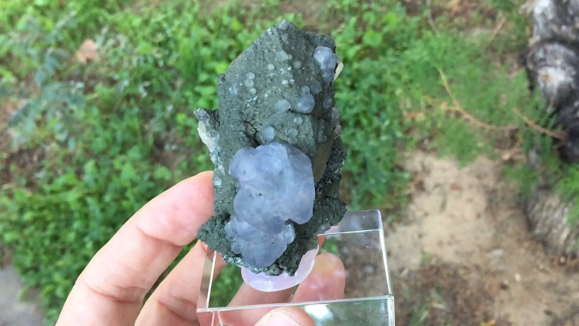 Fluorite and Quartz - image 5