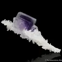 Fluorite and Quartz - image 1