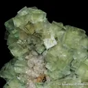 Fluorite and Quartz - image 3