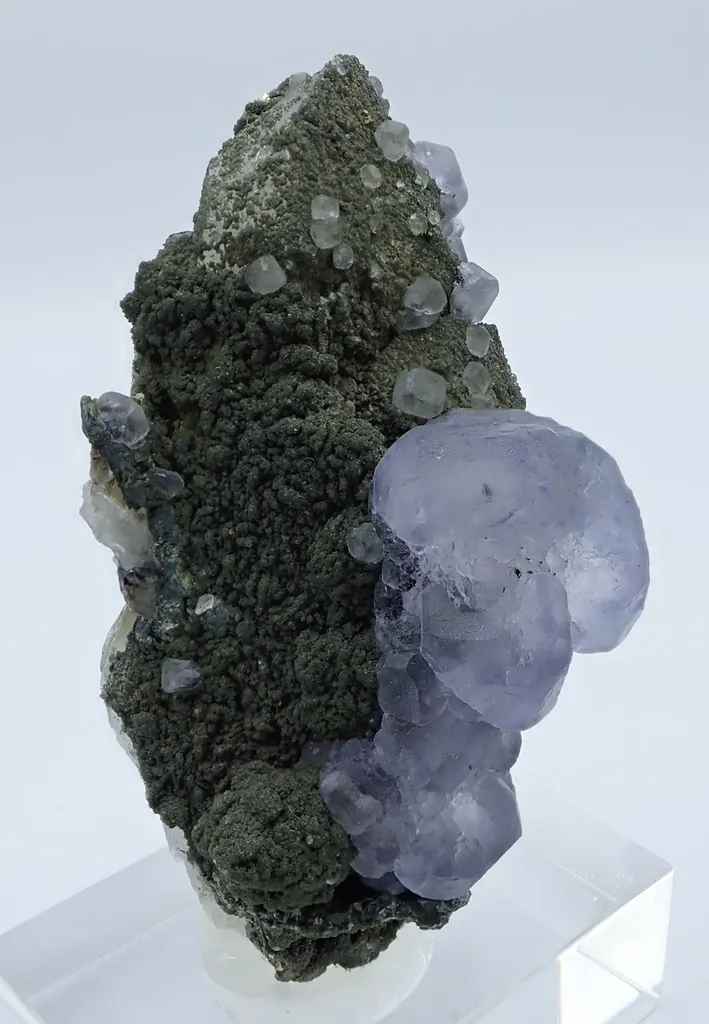 Fluorite and Quartz image