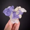 Fluorite and Quartz - image 1