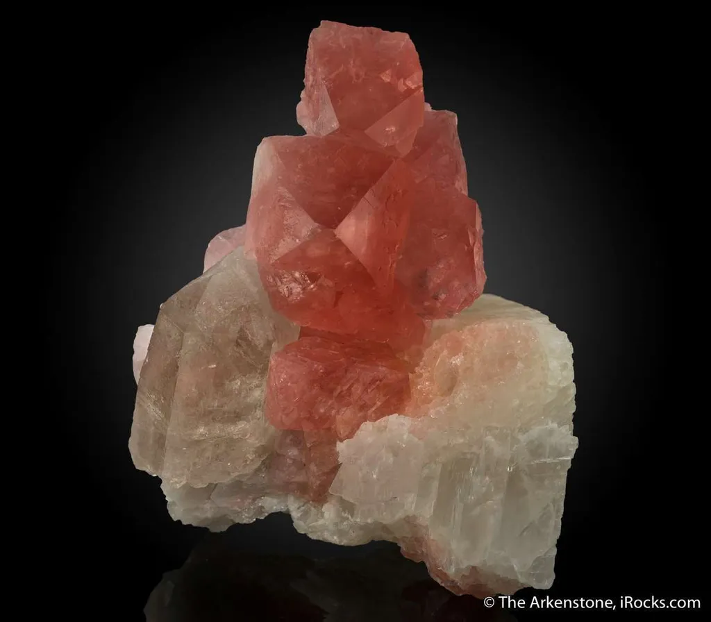 Fluorite and Quartz on Adularia image