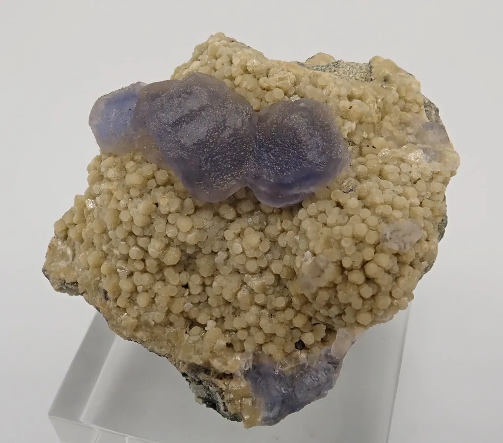 Fluorite and Siderite image