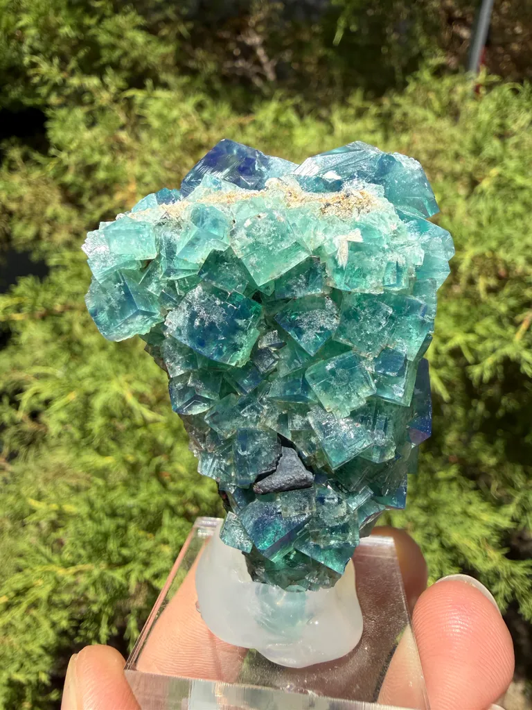 Fluorite - image 5