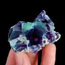 specimen video