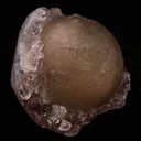 Fluorite ball on MM Quartz Natural Mineral Specimen - image 3