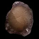 Fluorite ball on MM Quartz Natural Mineral Specimen - image 2