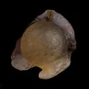 Fluorite ball on MM Quartz Natural Mineral Specimen - image 3