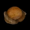 Fluorite ball on MM Quartz Natural Mineral Specimen - image 2