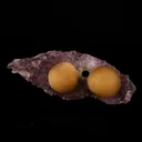 Fluorite Balls on Amethyst Very Rare Natural Mineral Specimen - image 5