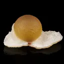 Fluorite balls on MM Quartz Natural Mineral Specimen - image 1