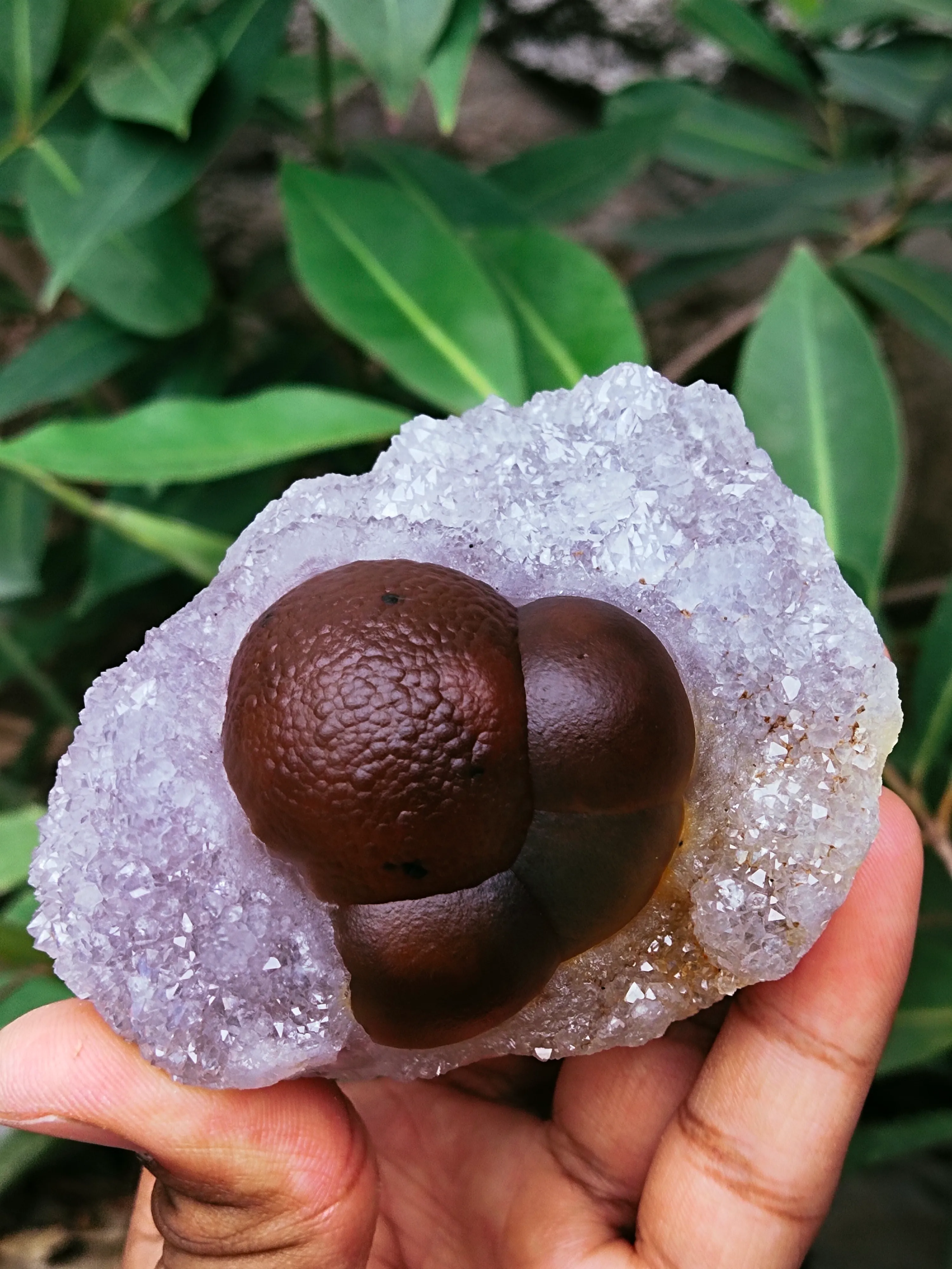 Fluorite Balls on Quartz - image 4