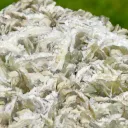 Fluorite & Barite 2280 grams - Fontsante Mine, Tanneron, Var, France - image 5