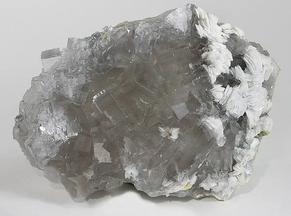 Fluorite, Baryte image