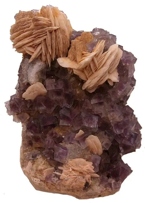 Fluorite, Baryte image