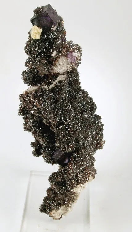 Fluorite, Baryte, Sphalerite, Dolomite image