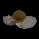 Fluorite Botridoal on MM Quartz Natural Mineral Specimen - image 4