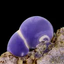 Fluorite (botryoidal) - image 5