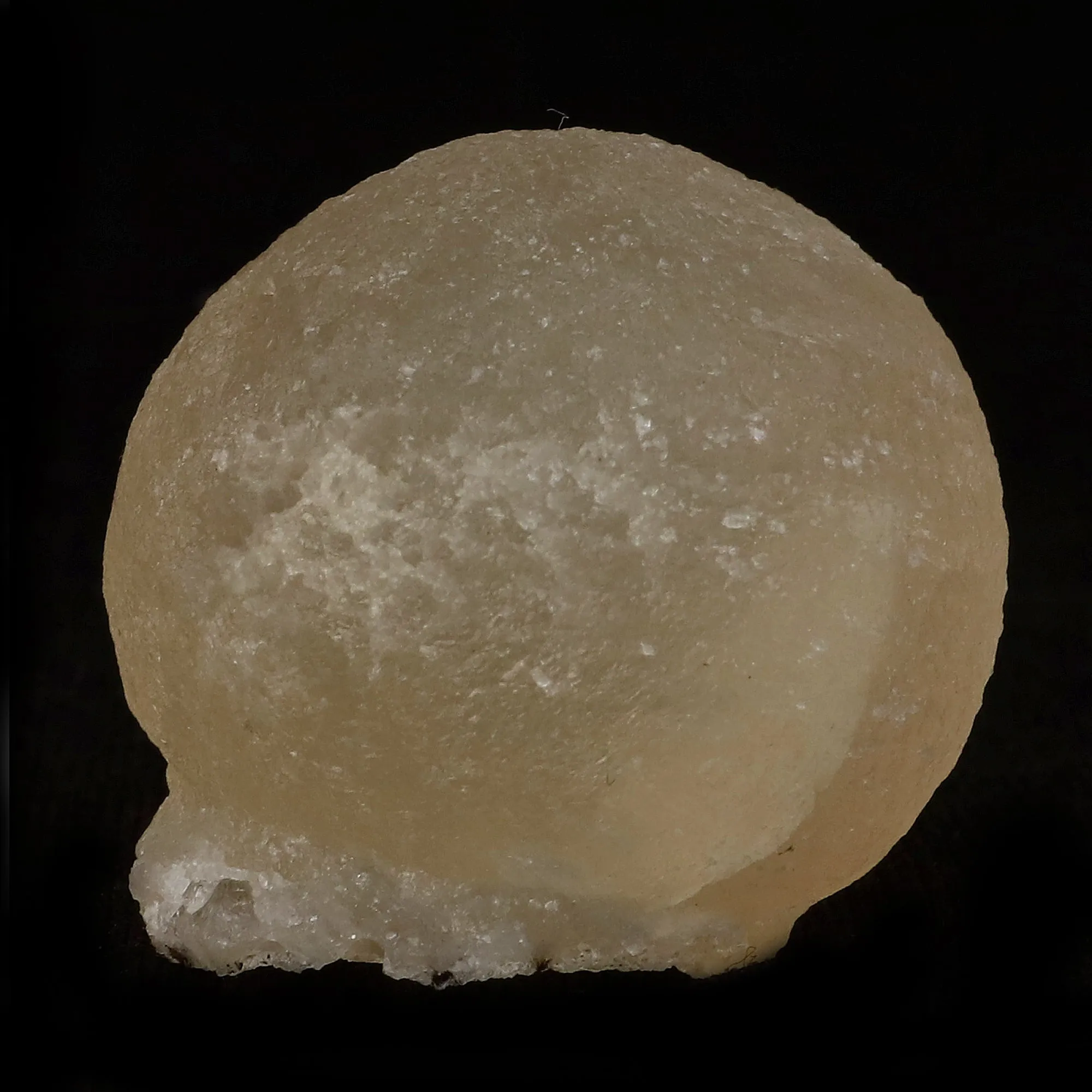 Fluorite Botryoidal Natural Mineral Specimen - image 2