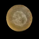 Fluorite Botryoidal Natural Mineral Specimen - image 3