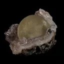 Fluorite Botryoidal on Amethyst Natural Mineral Specimen - image 2