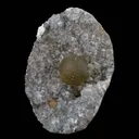 Fluorite Botryoidal on MM Quartz Natural Mineral Specimen - image 2