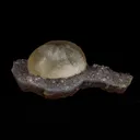 Fluorite Botryoidal on MM Quartz Natural Mineral Specimen - image 1