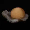 Fluorite Botryoidal on MM Quartz Natural Mineral Specimen - image 2