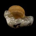 Fluorite Botryoidal on MM Quartz Natural Mineral Specimen - image 2