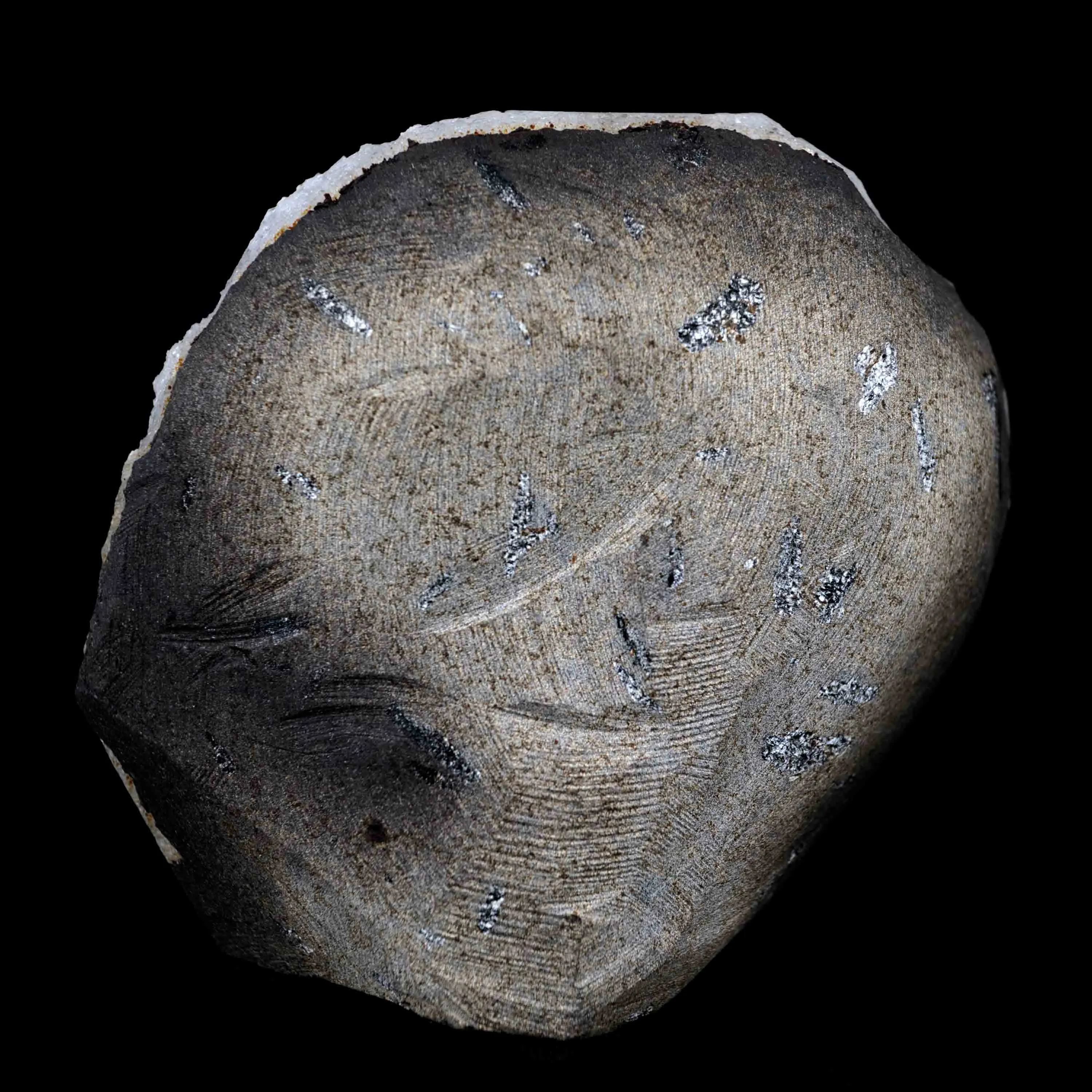 Fluorite Botryoidal on MM Quartz Natural Mineral Specimen - image 6