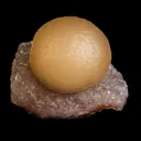 Fluorite  Botryoidal on Quartz Natural Mineral Specimen - image 4