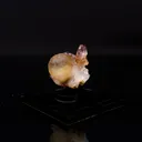 Fluorite Botryoidalon on Amethyst Natural Mineral Specimen - image 3