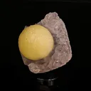 Fluorite Botryoidalon on Amethyst Natural Mineral Specimen - image 2