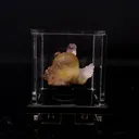 Fluorite Botryoidalon on Amethyst Natural Mineral Specimen - image 1