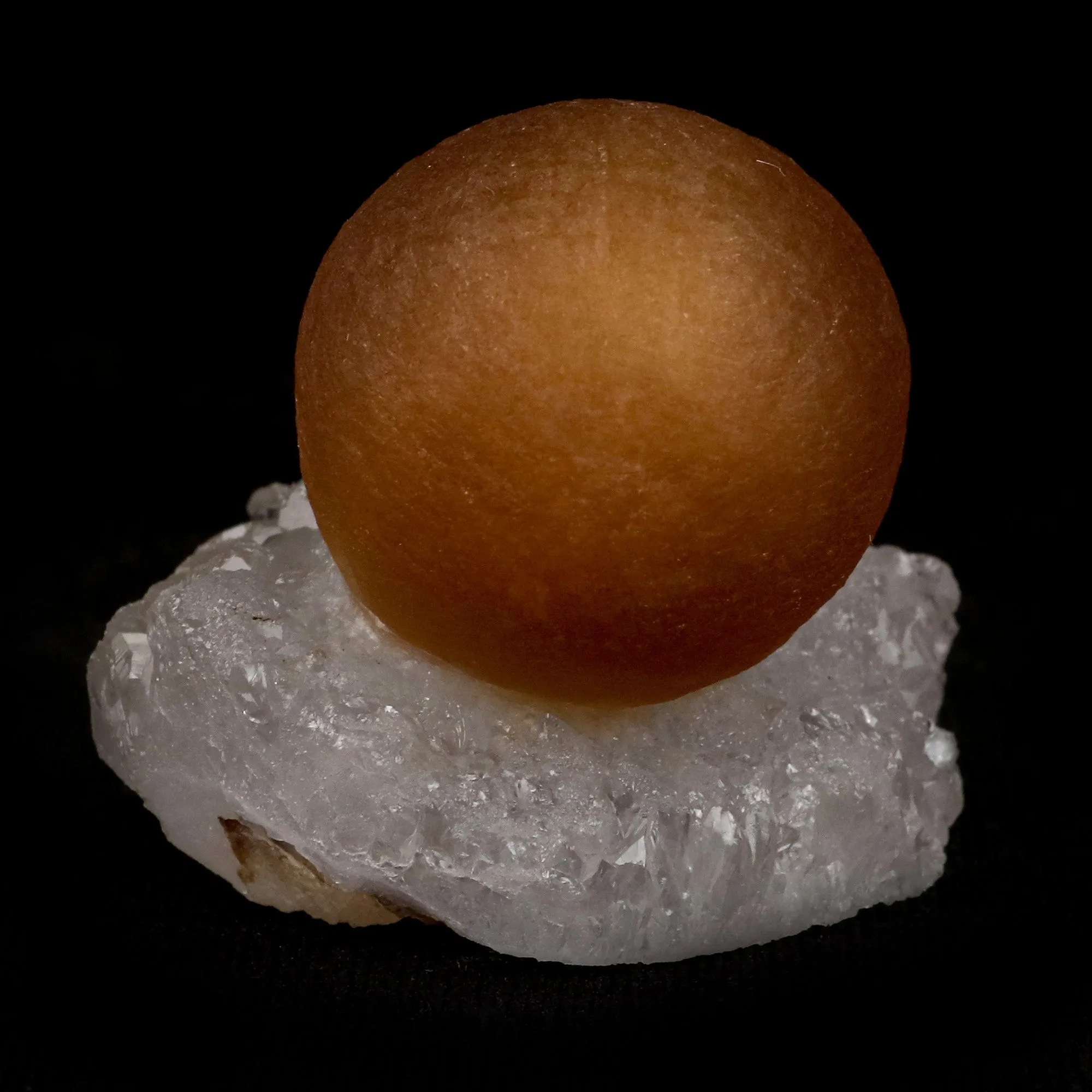 Fluorite Botryoidalon on MM Quartz Natural Mineral Specimen - image 1