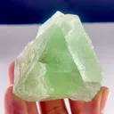 specimen video