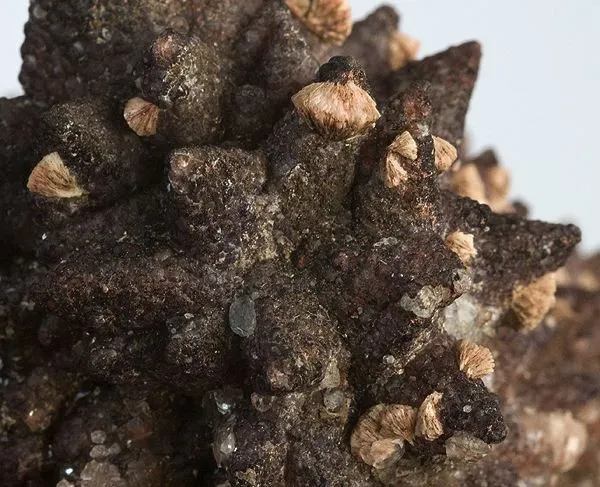 Fluorite, Calcite - image 2