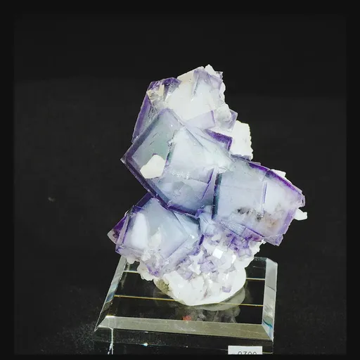 specimen video