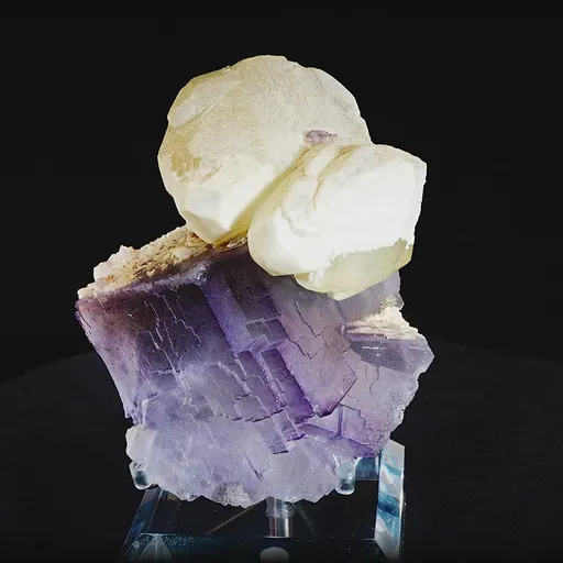 specimen video