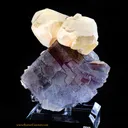 Fluorite - Calcite - image 3
