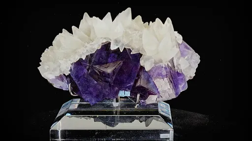 specimen video