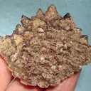 Fluorite, Calcite - image 1
