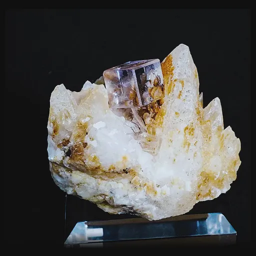 specimen video