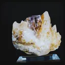 specimen video