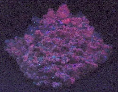 Fluorite, Calcite - image 2