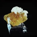 specimen video