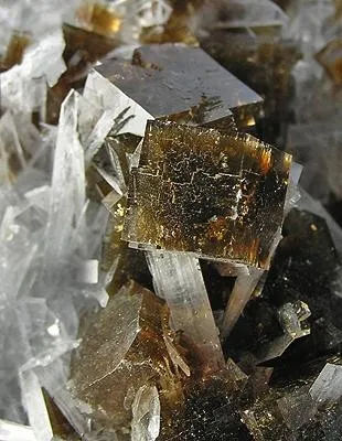 Fluorite, Celestine - image 2